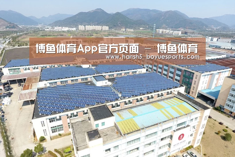 案例展示二