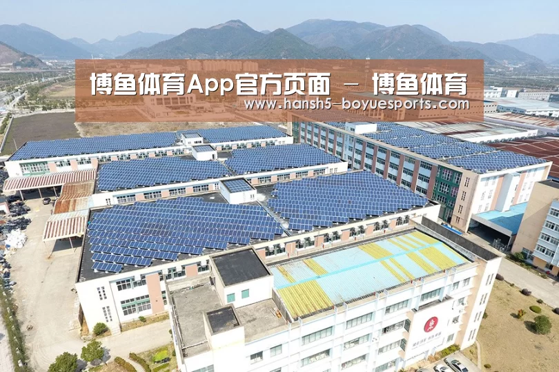 案例展示一
