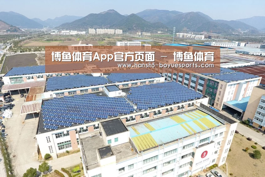 案例展示四