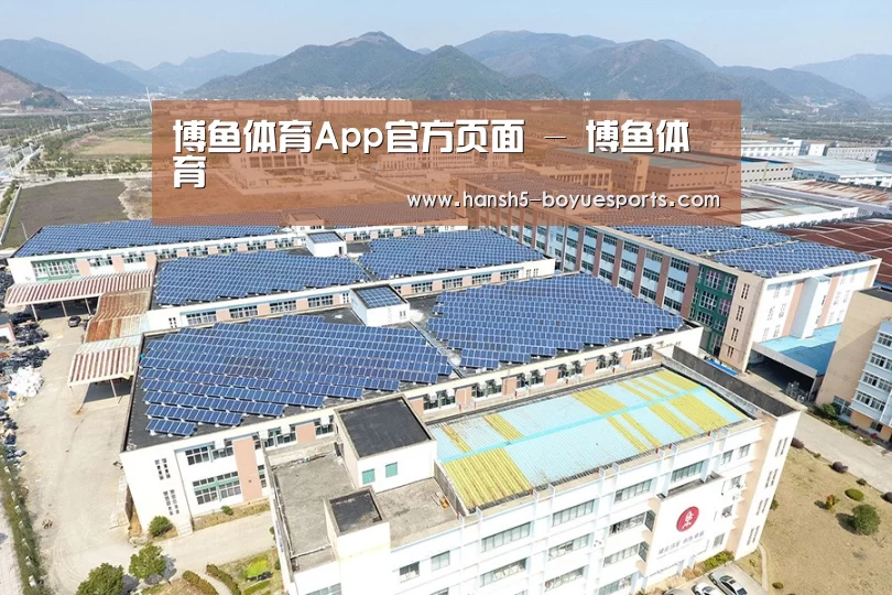 案例展示三