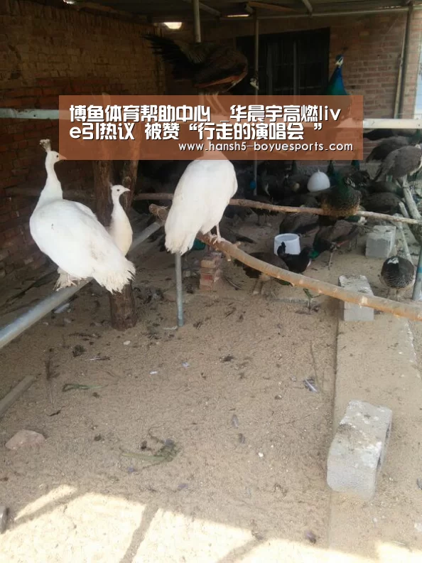 博鱼体育帮助中心 